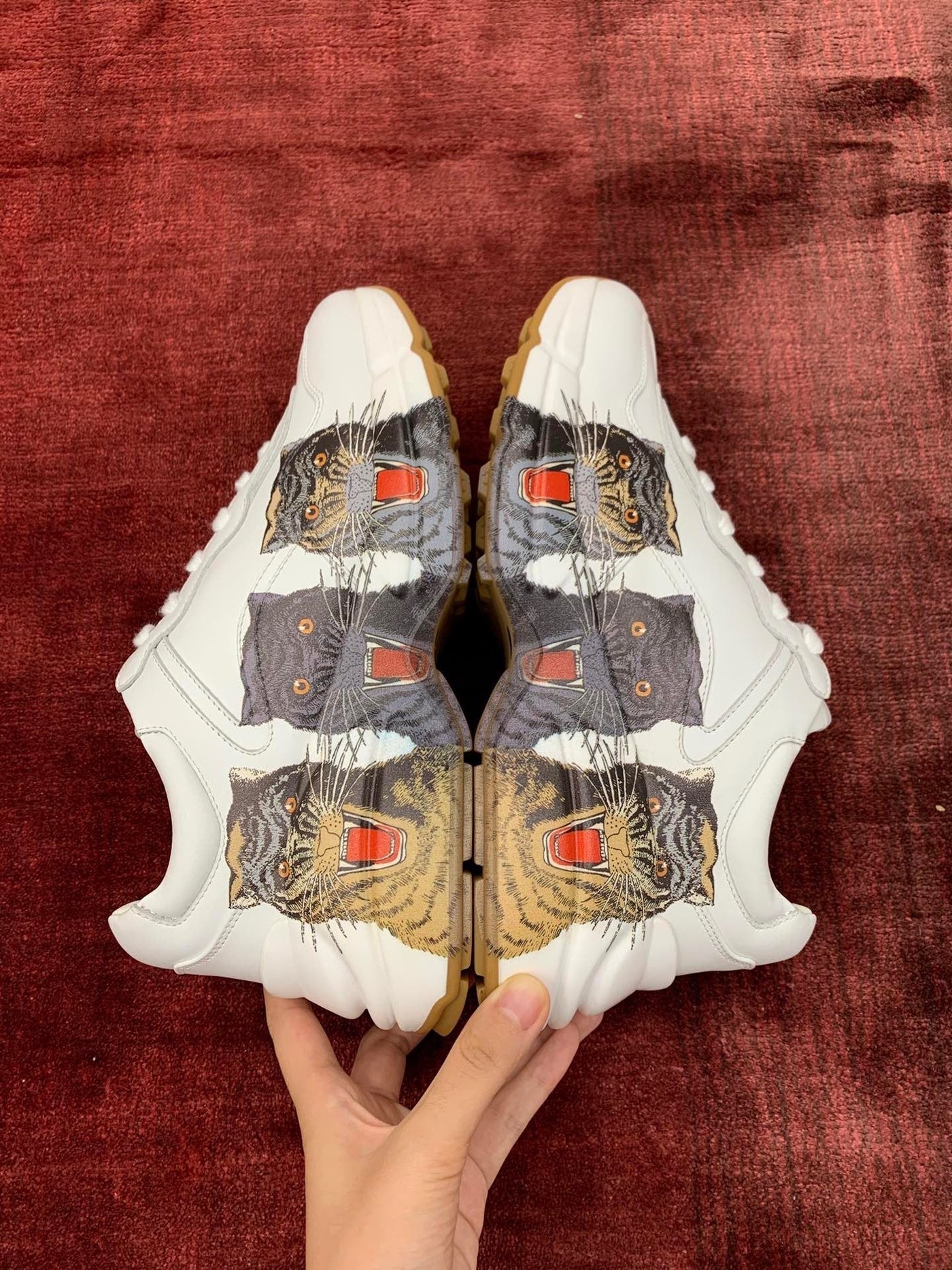 Sneakers & Shoes